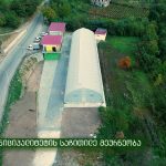 აგროსერვის ცენტრში ჩითილების წარმოება აქტიურად მიმდინარეობს