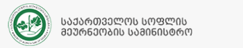 პიპი